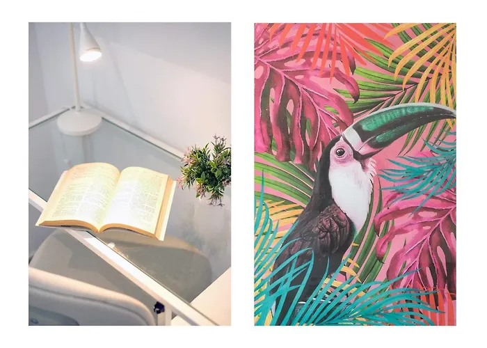 Dream Papagayo Σπίτι διακοπών